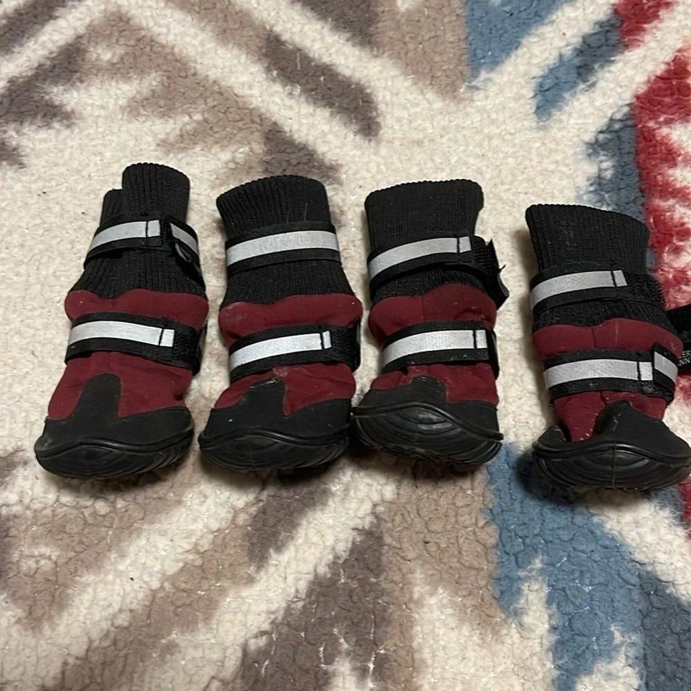 American Kennel Club size small